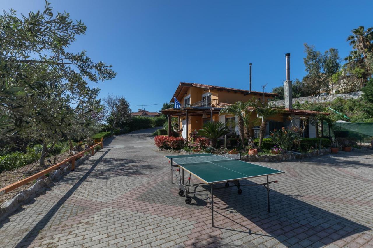 Villa Rene Koszkinú Kültér fotó