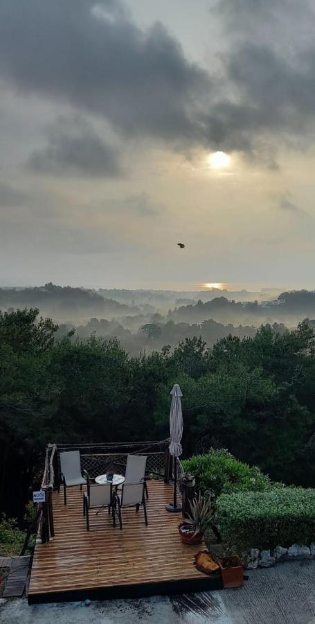 Villa Rene Koszkinú Kültér fotó